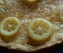 Crostata al limone